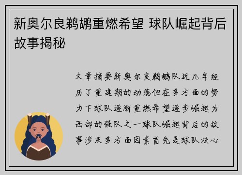 新奥尔良鹈鹕重燃希望 球队崛起背后故事揭秘