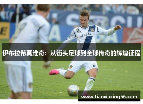 伊布拉希莫维奇：从街头足球到全球传奇的辉煌征程