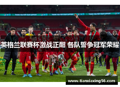 英格兰联赛杯激战正酣 各队誓争冠军荣耀