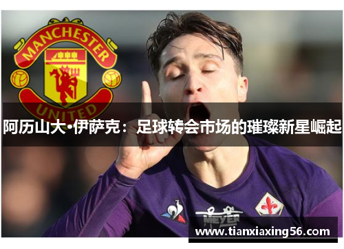 阿历山大·伊萨克：足球转会市场的璀璨新星崛起